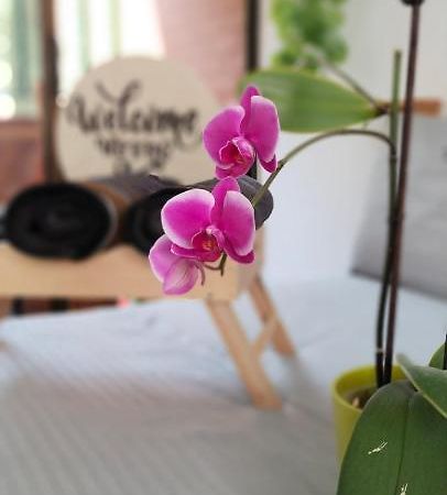 Apartament Moradia Laureles Medellín Zewnętrze zdjęcie